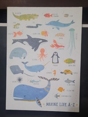 Marine Life A-Z Canvas Print – Blue & Green